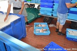 11 SANTA POLA PORT DE PECHE (49)